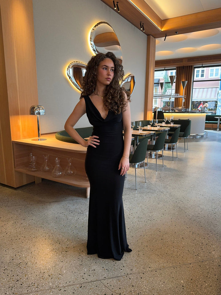 Zahra | Festive Sleeveless Maxi Dress with V-Neck